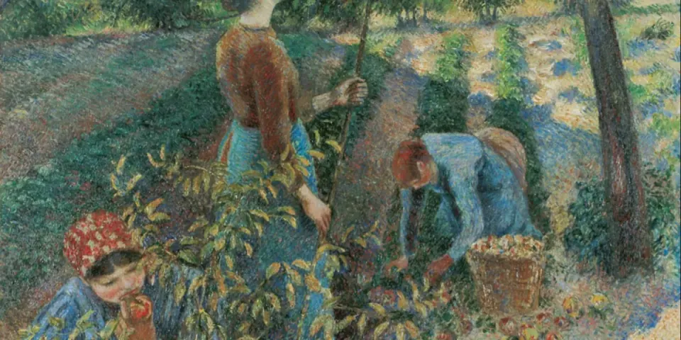 Dipinto impressionista di Pissarro: raccoglitori che colgono mele in un frutteto, tra erba e rami carichi di frutti